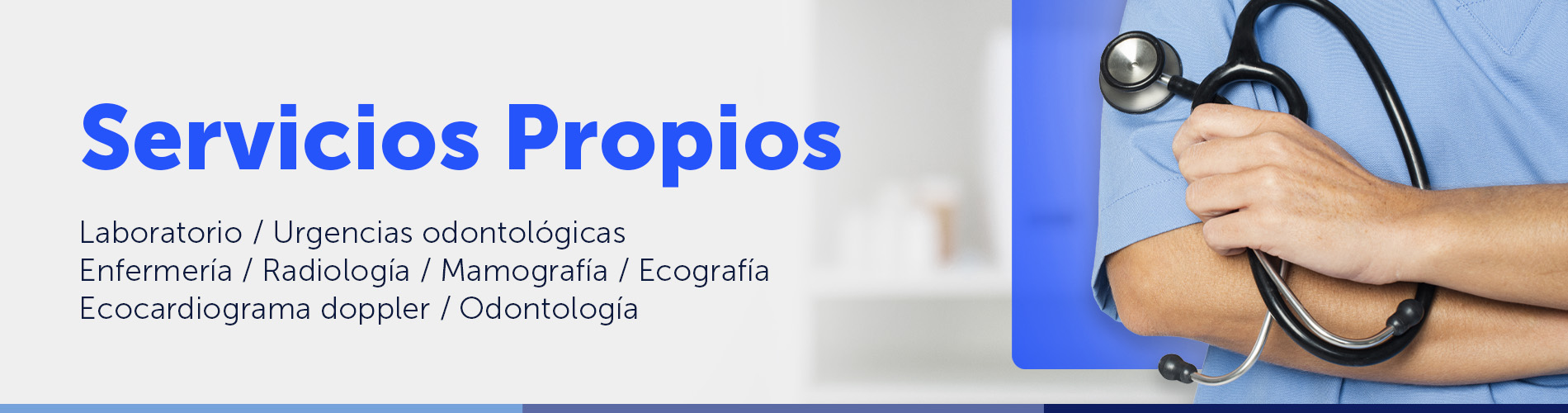 Servicios Propios